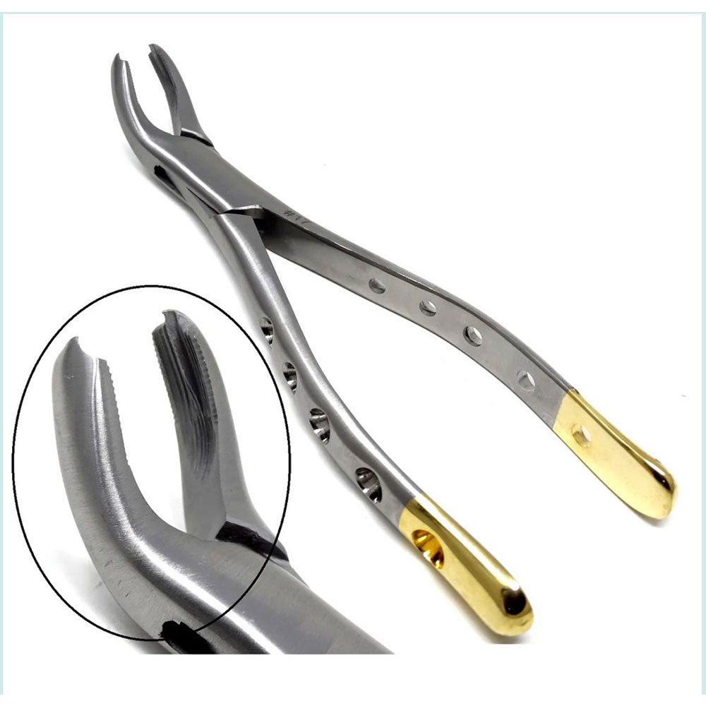 Dental Extracting Forceps #17 – Hole & Gold Handle