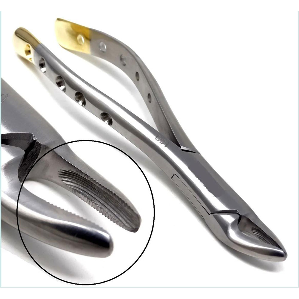 Dental Extracting Forceps #150 – Hole & Gold Handle