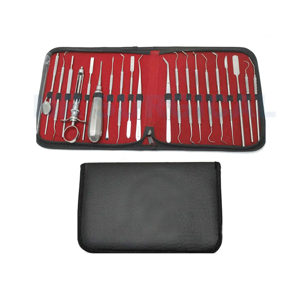 Professional Dental Kit