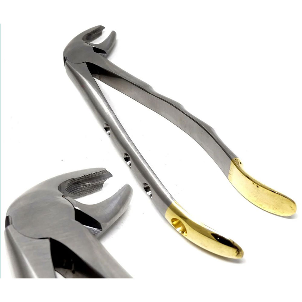 Dental Extracting Forceps #MD3 with Hole Gold Handle