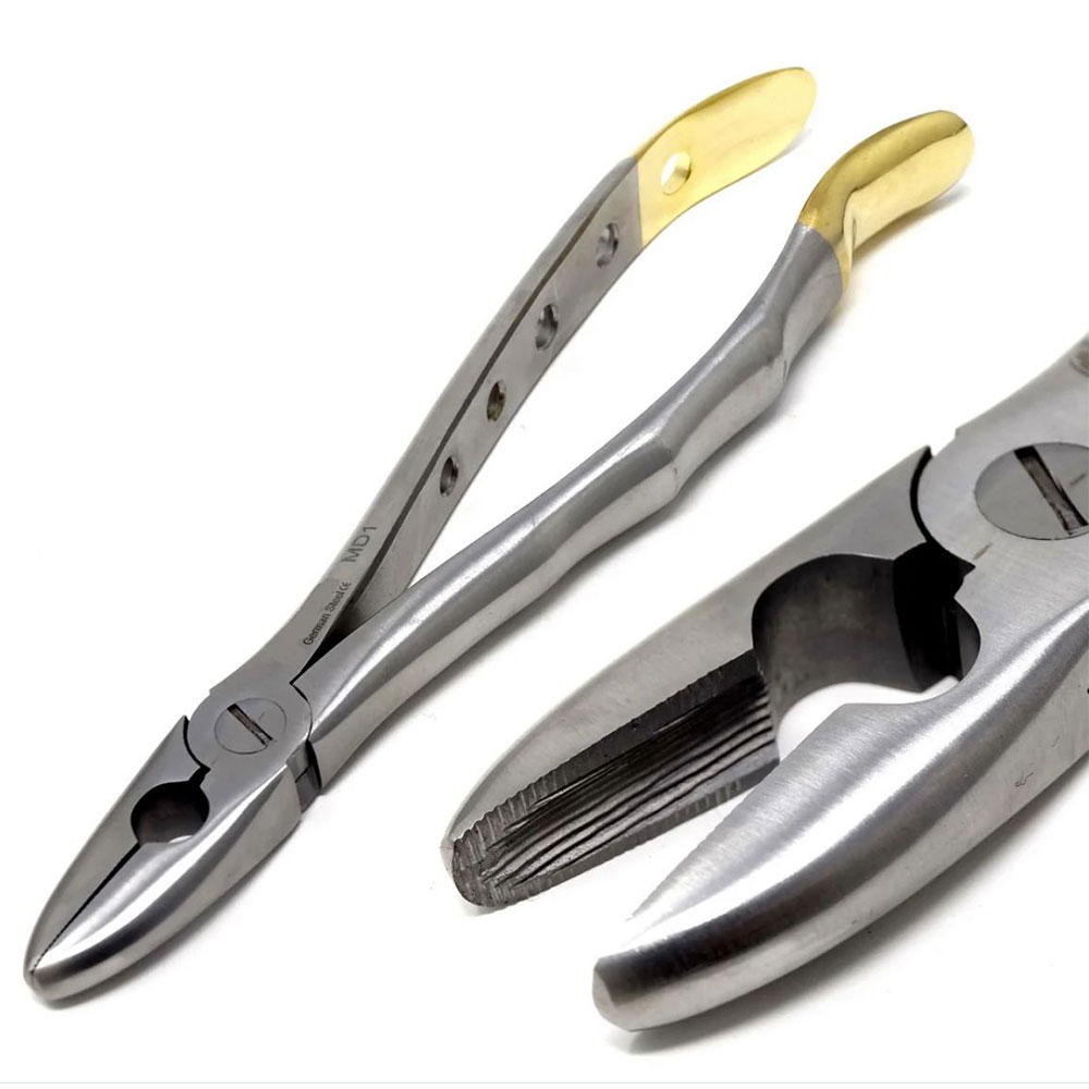 Dental Extracting Forceps #MD1 with Hole Gold Handle