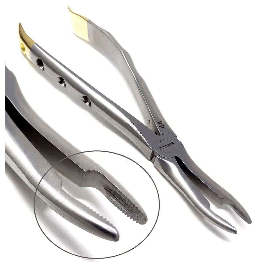 Dental Extracting Forceps #44 with Finger Grip Gold Handle