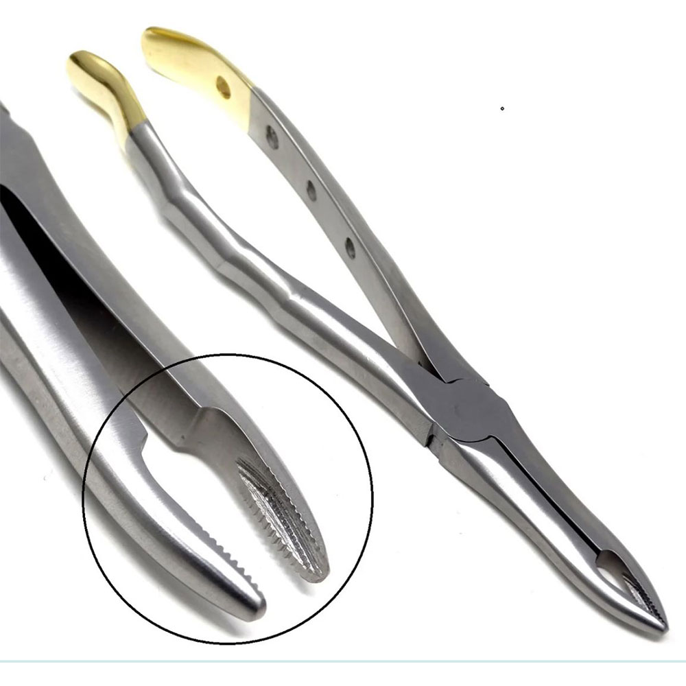 Dental Extracting Forceps #41 – Hole & Gold Handle with Grip